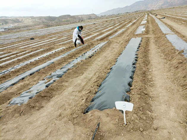 徐欣欣-《祖国给我的“安全感”》
