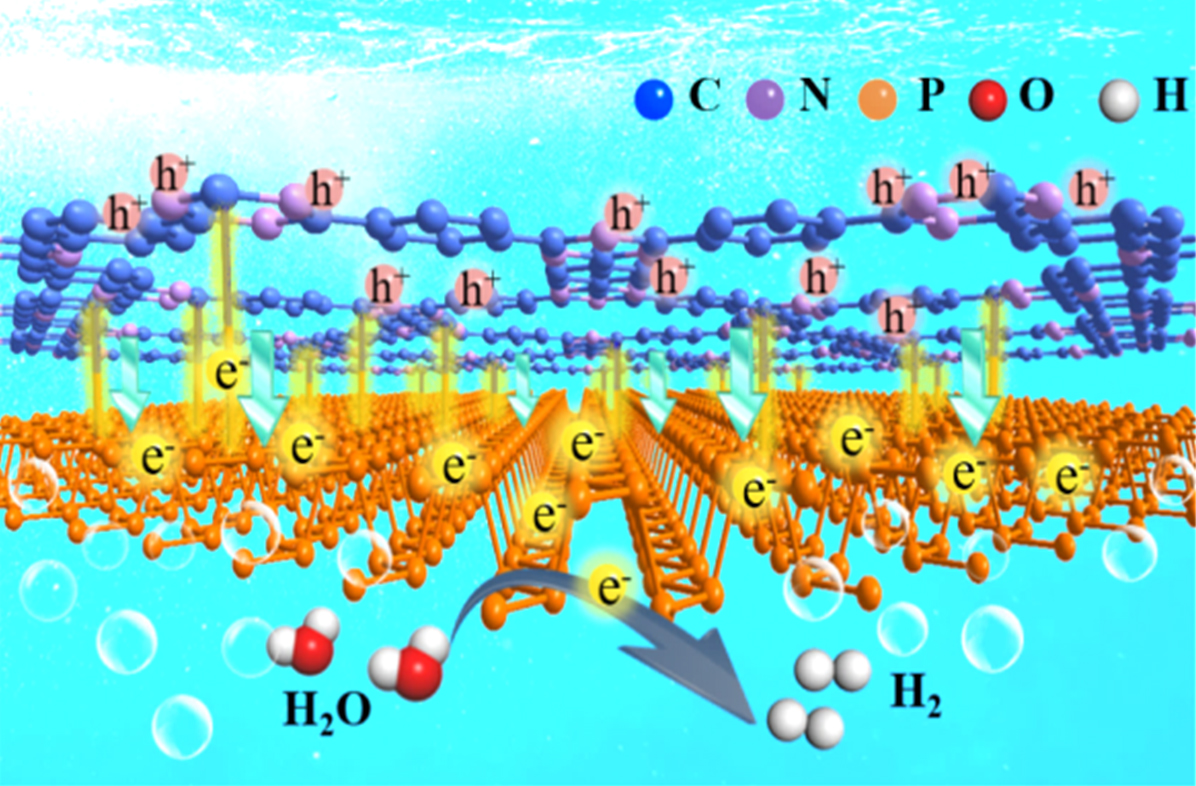 In Situ Charge Transfer at the Ag@ZnO Photoelectrochemical Interface toward  the High Photocatalytic Performance of H2 Evolution and RhB Degradation