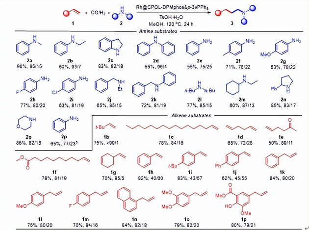 【人民日报】如何获得“胺”全感？看功能有机胺的选择性合成